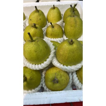 Fragrant Pear(1kg)