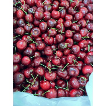 Usa Red Cherry(500g)