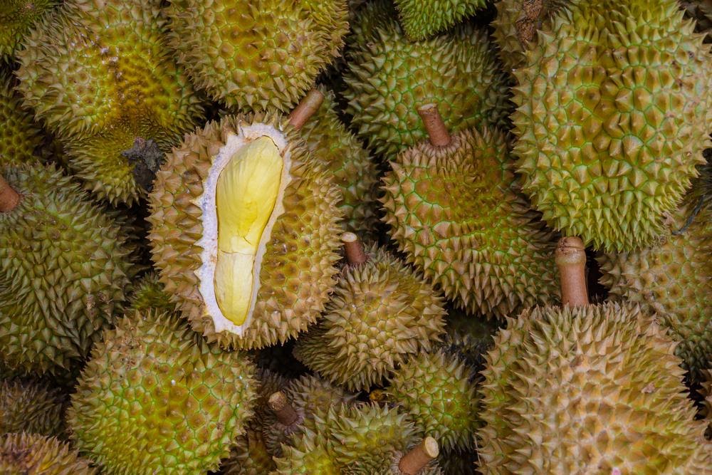 Myth 5- Mao Shan Wang is the Best Durian in the World